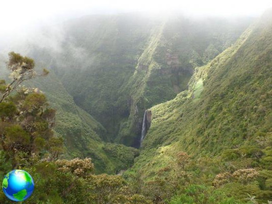 5 Trekking à La Réunion: découverte de la nature sauvage