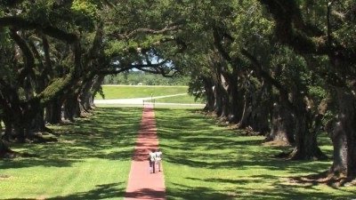 What to visit in Louisiana: Baton Rouge