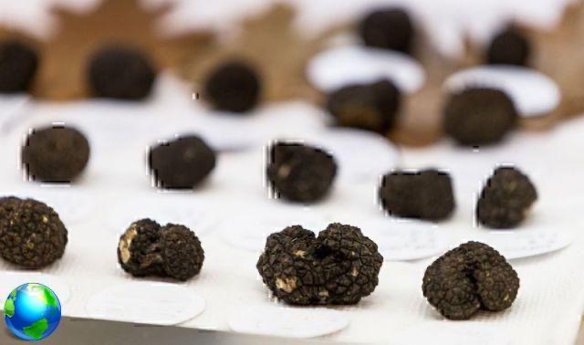 5 places to eat truffles in Italy