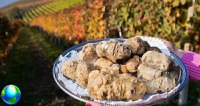 5 endroits pour manger des truffes en Italie