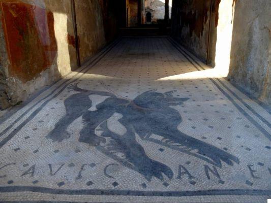 Escavações de Pompeia: guia da visita