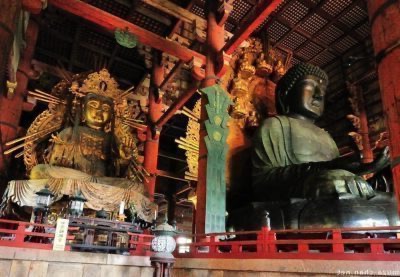Nara: 4 atrações imperdíveis