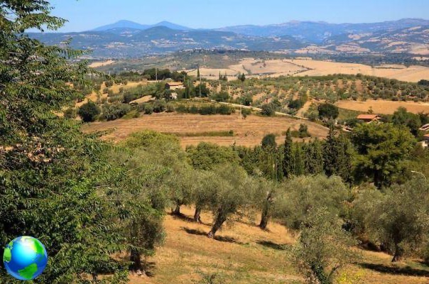 What to see in Grosseto in one day