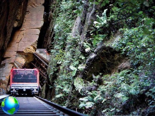 Blue Mountains and Taronga Zoo, day trips from Sydney
