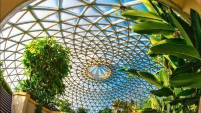 Brisbane: un día en Mt Coot-tha y los jardines botánicos