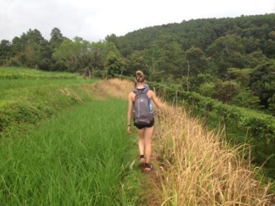 Trekking en la jungla de Chiang Mai