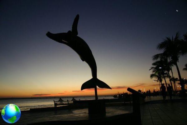 Nochevieja en México, Barrancas del Cobre y las ballenas de Baja California