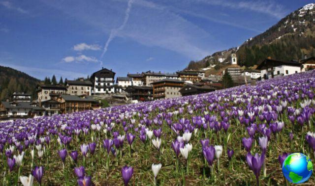Férias relaxantes em Sauris: o que ver, onde esquiar e a tirolesa mais longa da Europa