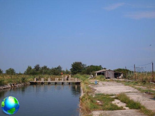 From Cavallino to Lio Piccolo: Northern Lagoon by bike