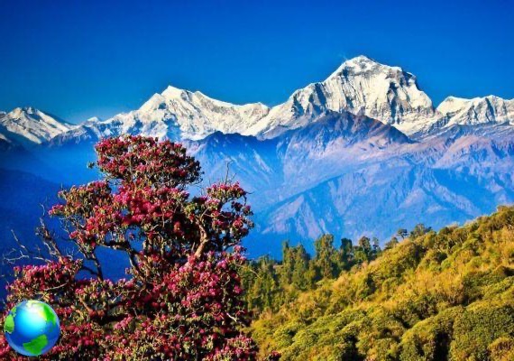 Viagem ao Nepal: pequenas coisas a saber antes de partir