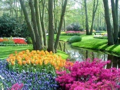 El 1 de mayo en Holanda entre los campos de tulipanes