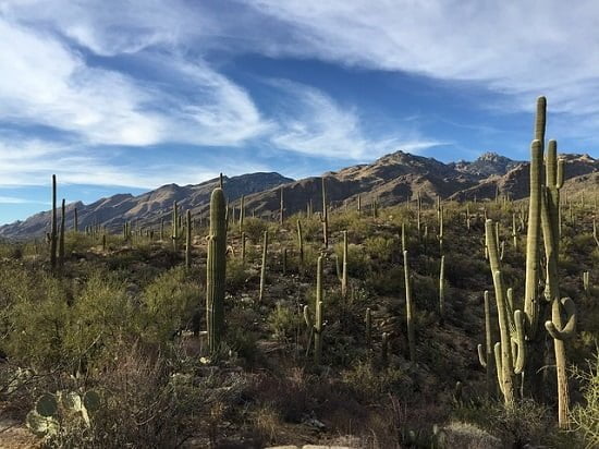 Qué ver en Arizona: lugares que no debe perderse
