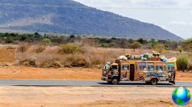 Voyage entre le Kenya et la Tanzanie : 8 parcs en 9 jours
