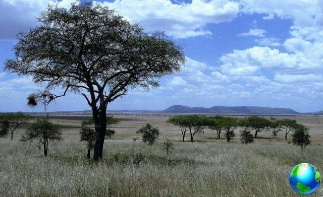 Viajar entre Kenia y Tanzania: 8 parques en 9 días