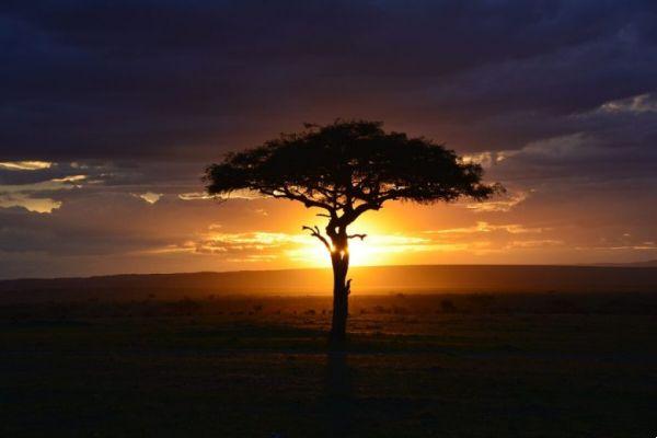 Travel between Kenya and Tanzania: 8 parks in 9 days