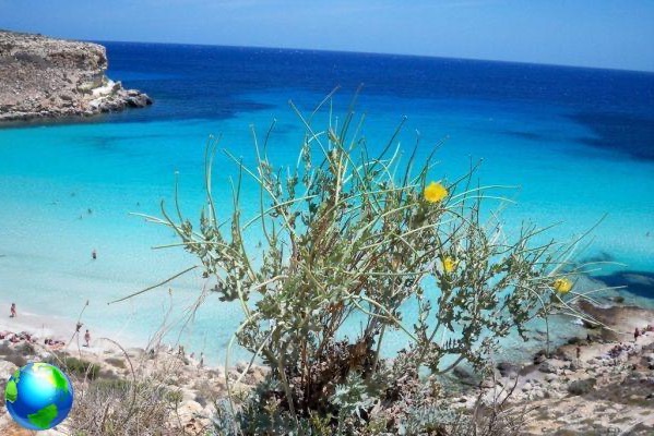 Vacances sur les îles: Sardaigne, Lampedusa ou Linosa