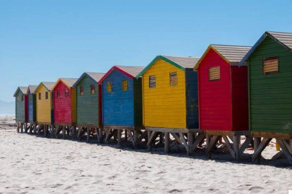 What to see in Cape Town: 10 unmissable experiences