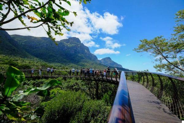 What to see in Cape Town: 10 unmissable experiences