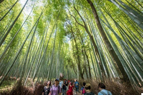 Viajar a Japón: itinerario entre cultura y naturaleza