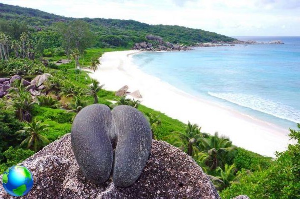 Seychelles, 5 razones para visitar África