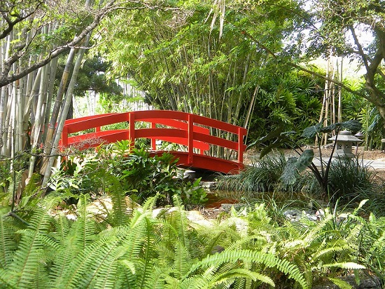 Visit the Miami Beach Botanical Garden, one of the most beautiful gardens in the city
