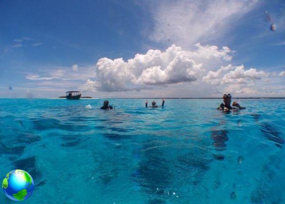 Zanzibar: as 5 excursões recomendadas