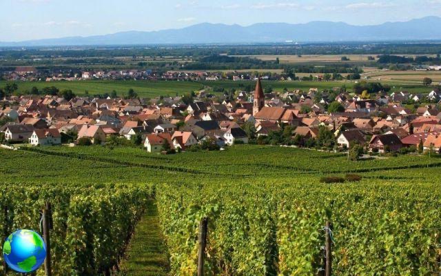 Burgundy, what to do low cost in France
