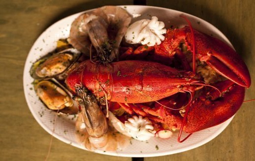 Unmissable seafood restaurants in Bologna