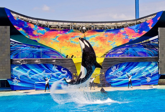 SeaWorld San Diego, the most famous marine park in California