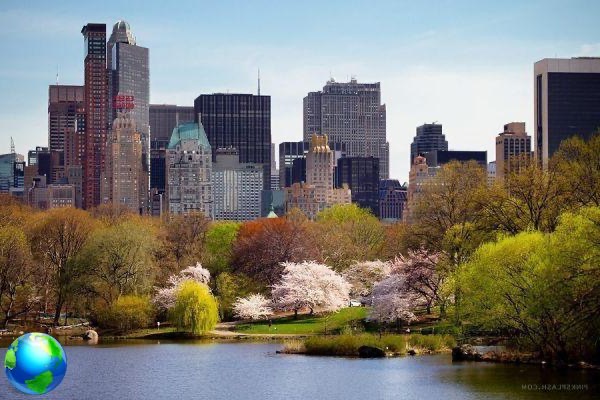 Spring in New York, 5 things to do