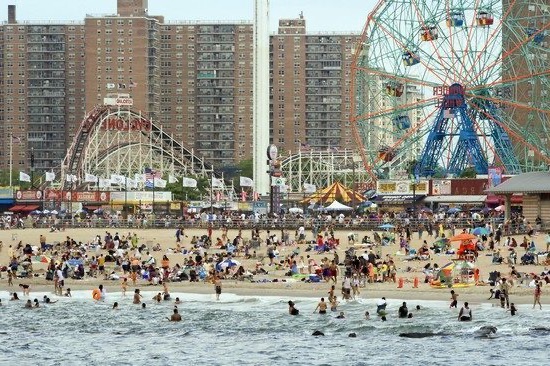 New York beyond Manhattan: Harlem, Brooklyn and Coney Island