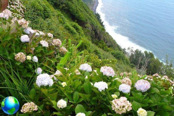 Mini guide of the Azores, what to see in 10 days