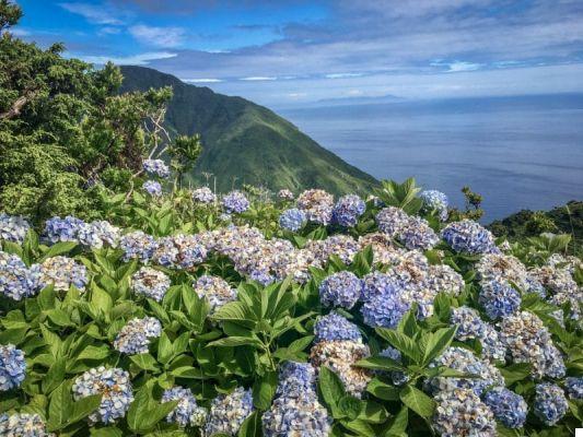 Azores: what to see and what to do in these dream islands