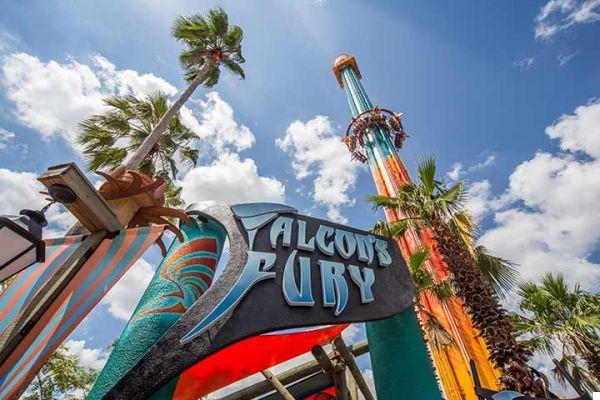 Busch Gardens Tampa: atracciones, precios de las entradas y como llegar