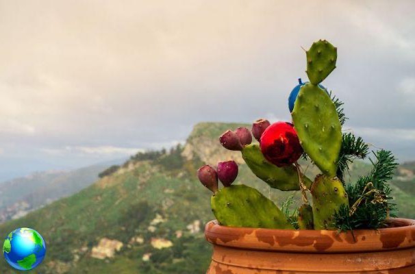 Sicily, all the Christmas traditions: from dishes to cribs