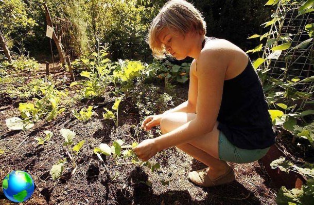 How to travel working with Wwoof, my experience