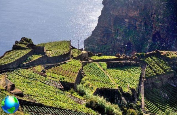 Madeira: 10 things to do on the island of Portugal