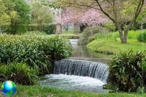 The gardens of Ninfa in Latina, how to see them