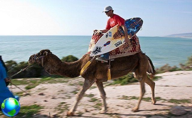 Ecoles de surf au Maroc, organisez un surf trip