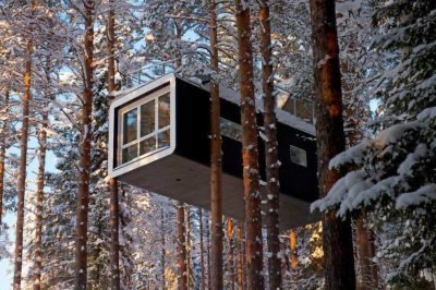 Casas en los árboles del mundo: las 7 mejores