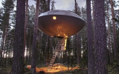 Tree houses in the world: the 7 best