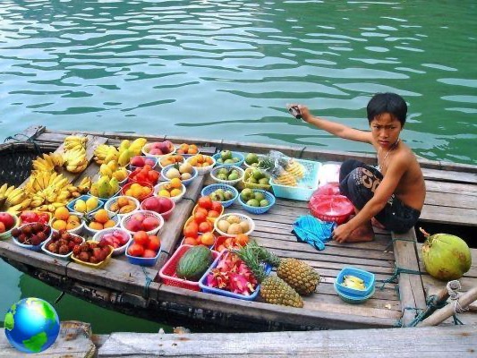Bahía de Halong en Vietnam, excursiones de dos días