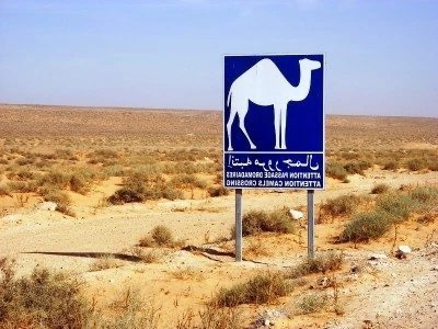 Traveling in the desert, the limits in Tunisia