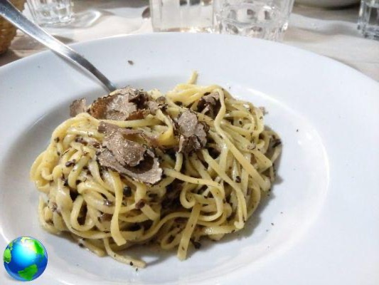 Advice for eating well in Lucca: the Antica Drogheria