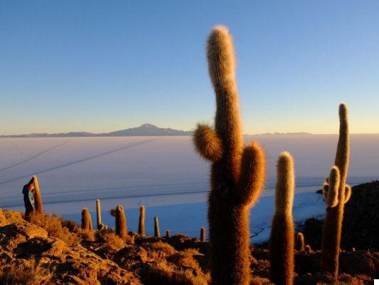 Bolivia: tour de 3 o 4 días al Salar de Uyuni