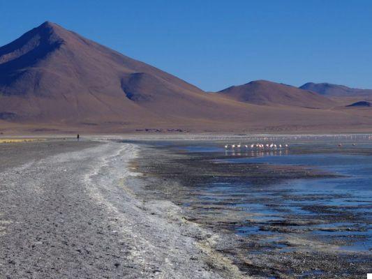 Bolivia: tour de 3 o 4 días al Salar de Uyuni