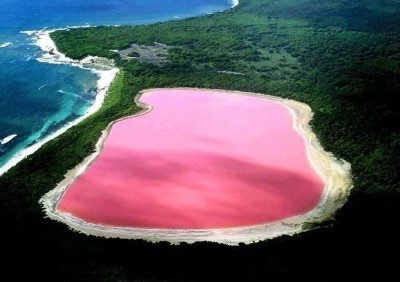 Lake Hillier, Australia's pink lake