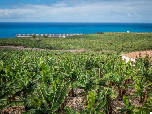 Que ver en La Palma: la 'isla bonita' de Canarias