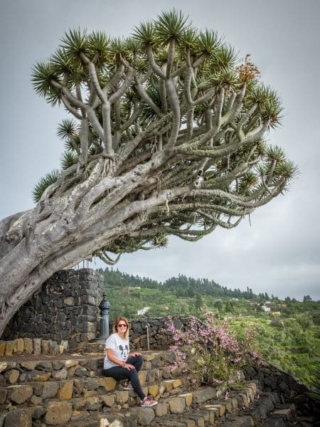 Que ver en La Palma: la 'isla bonita' de Canarias