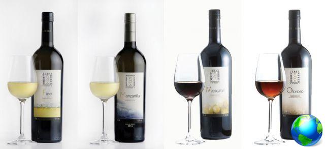 vinhos andaluzes
